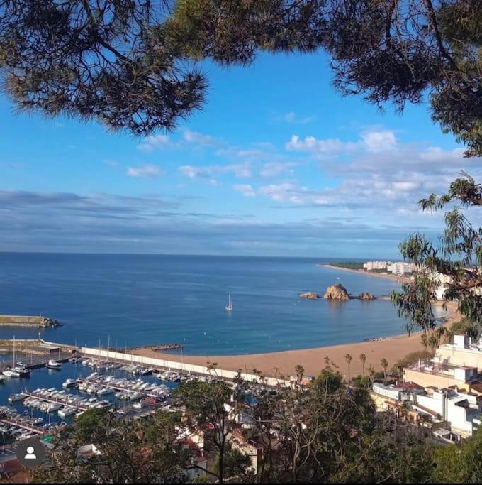 Piso Ideal Para Una Familia Ubicado Cerca Del Mar Blanes Extérieur photo